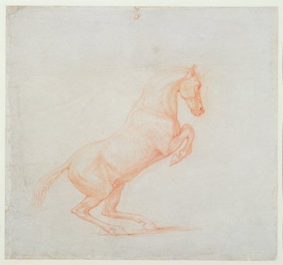 Un cavallo impennato, rivolto a destra, 1790 da George Stubbs