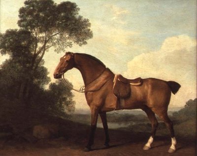 Un Cavallo da Caccia Sellato in un Paesaggio con un Lago Oltre da George Stubbs