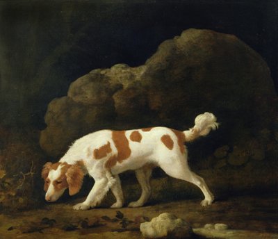 Un Spaniel da George Stubbs