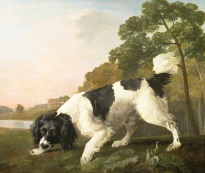 Un Spaniel in un paesaggio, 1771 da George Stubbs