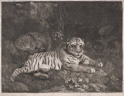 Una tigre e un leopardo addormentato da George Stubbs