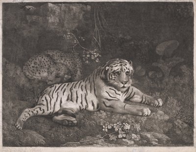 Una tigre e un leopardo addormentato da George Stubbs