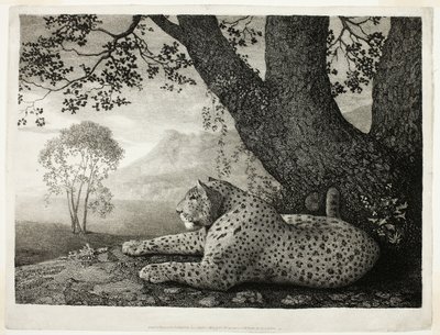 Una tigre (Un leopardo sdraiato sotto un albero) da George Stubbs