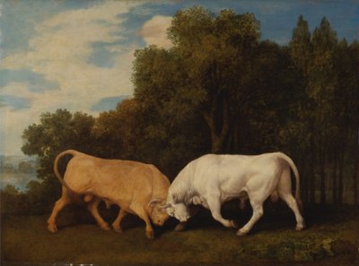 Tori che combattono da George Stubbs
