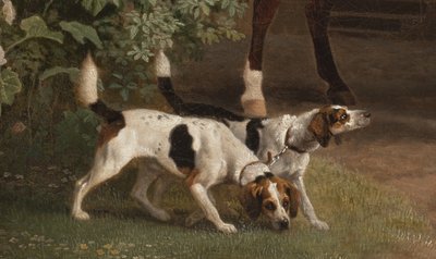 (dettaglio) da George Stubbs