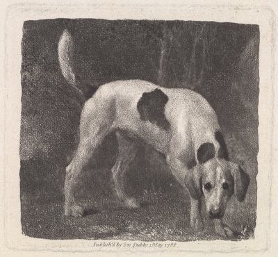 Cane (Un Foxhound alla Ricerca) inciso dall