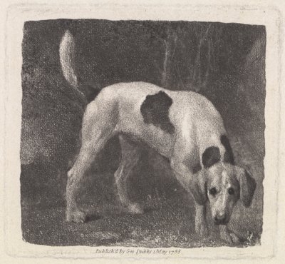 Cane [Un Foxhound alla ricerca] da George Stubbs