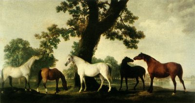 Cinque Fattrici alla Scuderia del Duca di Cumberland nel Parco di Windsor da George Stubbs