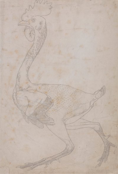 Corpo di Uccello, Vista Laterale (Probabilmente Preparato per il Trasferimento sulla Lastra per Incidere la Figura Chiave per la Tabella X) da George Stubbs