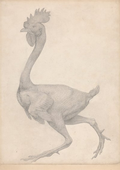 Pollame, vista laterale con la maggior parte delle piume rimosse (Studio finito per Tavola X) da George Stubbs