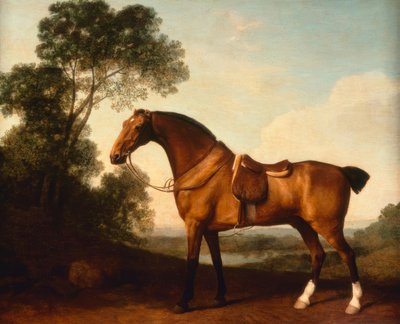 Un cacciatore baio sellato da George Stubbs