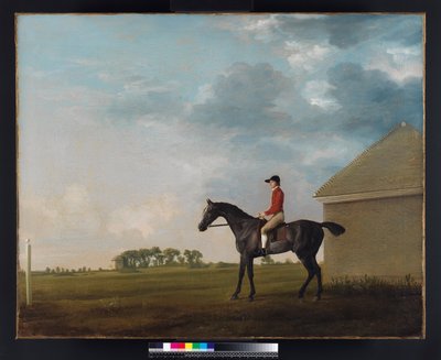 Gimcrack con John Pratt a Newmarket Heath, 1765 da George Stubbs