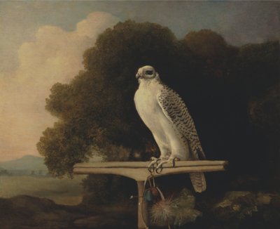 Falco della Groenlandia da George Stubbs