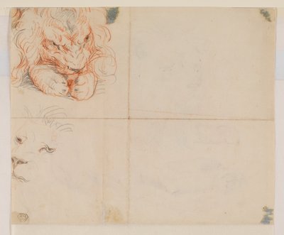 Testa e zampe di un leone, verso, XVIII o XIX secolo da George Stubbs