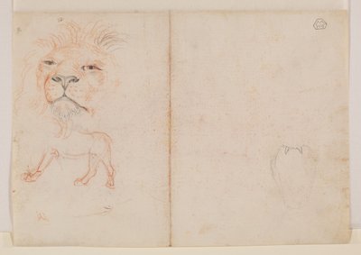 Testa di leone, verso, XVIII o XIX secolo da George Stubbs