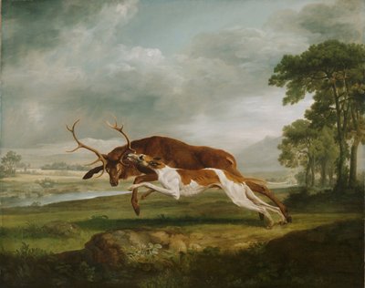 Segugio che insegue un cervo da George Stubbs