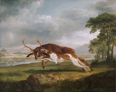 Cane da caccia che insegue un cervo da George Stubbs