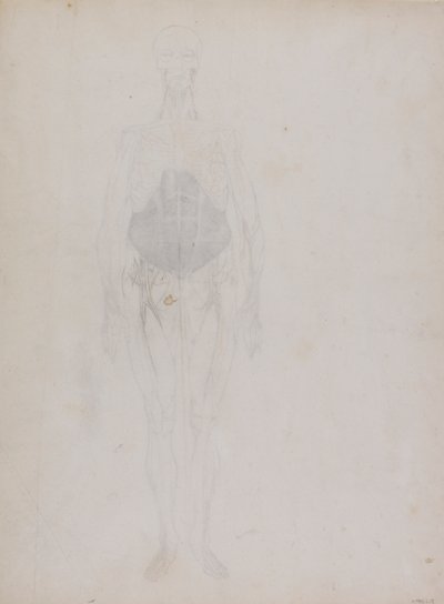 Figura umana, vista anteriore (principalmente in contorno) da George Stubbs