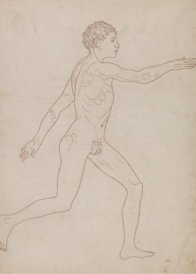 Figura umana, vista laterale (Studio di contorno inverso della Tavola VIII) da George Stubbs