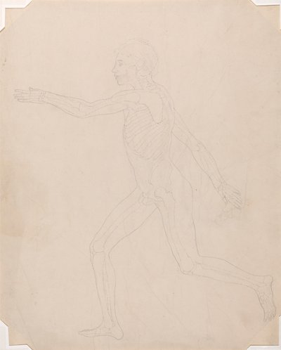 Figura umana, vista laterale da George Stubbs