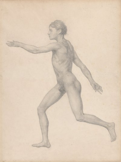 Figura umana, vista laterale, non dissezionata (Studio finito per Tavola VIII) da George Stubbs