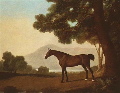 "Johnny", uno stallone baio in un paesaggio boscoso da George Stubbs