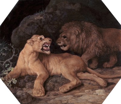 Leone e leonessa, 1770 da George Stubbs