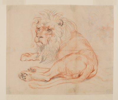 Leone a riposo, recto, XVIII o XIX secolo da George Stubbs