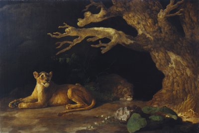 Leonessa e caverna da George Stubbs