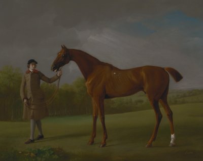 Lustro, tenuto da uno Sposo da George Stubbs