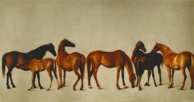 Giumente e puledri (olio su tela) da George Stubbs