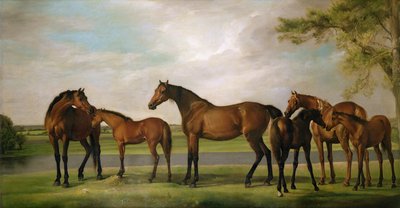Cavalle e puledri disturbati da una tempesta in arrivo, 1764-66 da George Stubbs