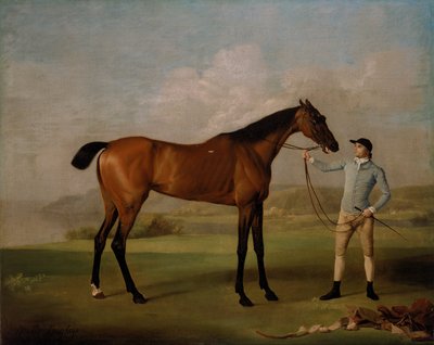 Molly Gambe Lunghe con il suo fantino da George Stubbs