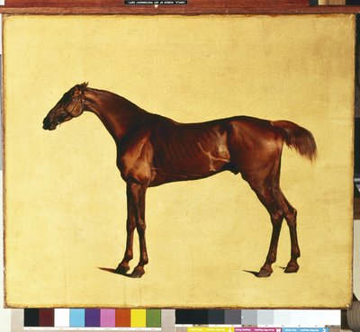 Pangloss da George Stubbs