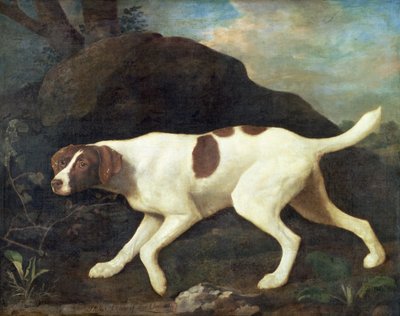 Phillis, un pointer di Lord Clermont da George Stubbs