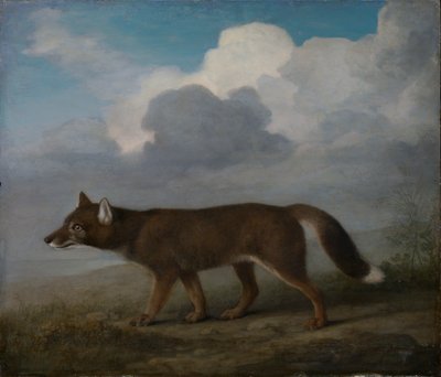 Ritratto di un grande cane (Dingo) da George Stubbs