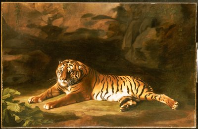 Ritratto della Tigre Reale, c.1770 da George Stubbs