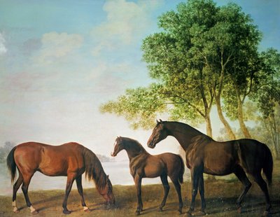 Cavalle Shafto e un puledro da George Stubbs