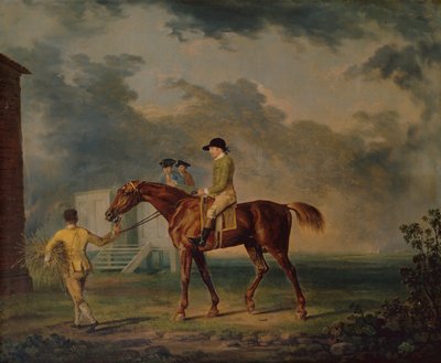 Sir Salomon, un cavallo da corsa baio con J.Singleton, Newmarket da George Stubbs