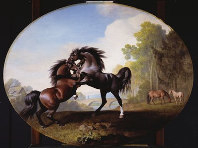 Stalloni che combattono, 1781 da George Stubbs