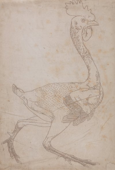Studio di un Pollo, Vista Laterale, da Una Esposizione Anatomica Comparativa della Struttura del Corpo Umano con quella di una Tigre e di un Pollo Comune, 1795-1806 da George Stubbs