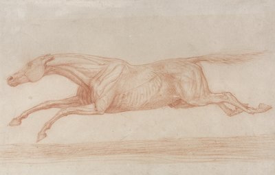 Studio di un cavallo da corsa in azione: galoppando a sinistra da George Stubbs