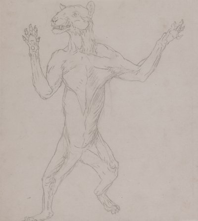 Studio di una tigre, in postura umana, da A Comparative Anatomical Exposition of the Structure of the Human Body with that of a Tiger and a Common Fowl da George Stubbs