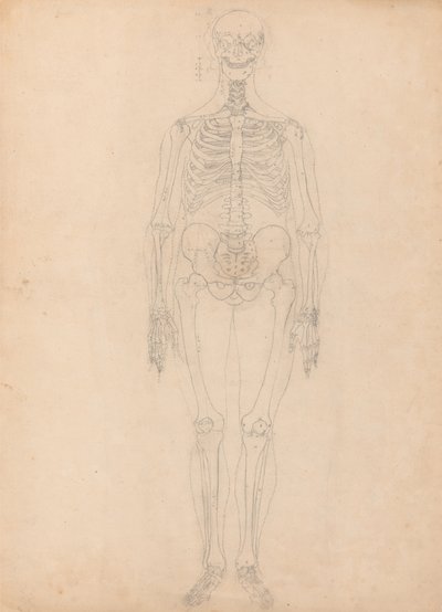 Studio della figura umana, vista anteriore, diagramma per la chiave alla tavola I, da A Comparative Anatomical Exposition of the Structure of the Human Body with that of a Tiger and a Common Fowl, c.1795-1806 da George Stubbs