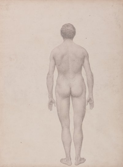 Studio della figura umana, vista posteriore, non dissezionata, studio finito per la tavola VII, da A Comparative Anatomical Exposition of the Structure of the Human Body with that of a Tiger and a Common Fowl da George Stubbs