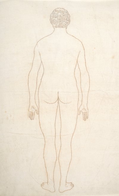 Studio della figura umana, vista posteriore, da A Comparative Anatomical Exposition of the Structure of the Human Body with that of a Tiger and a Common Fowl, c.1795-1806 da George Stubbs