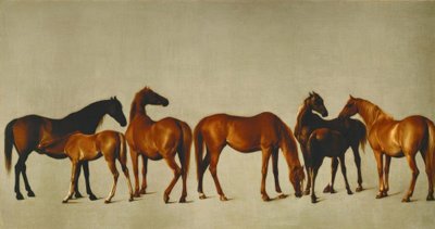 Giumente con puledri da George Stubbs