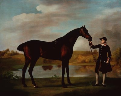 Il cacciatore del Duca di Malborough con un groom da George Stubbs