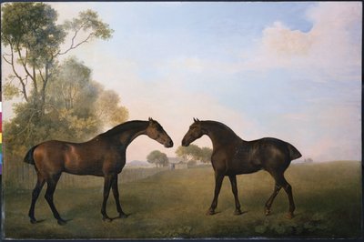Due Cacciatori al Pascolo da George Stubbs