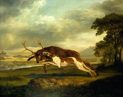 Immagine sconosciuta da George Stubbs